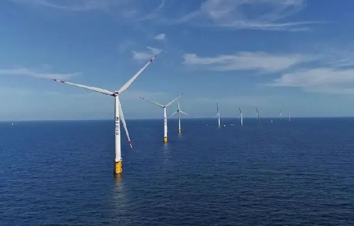 4001百老汇会员登录：细微之处见真章